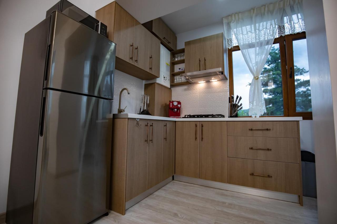 Apartament Natalia Apartment Tîrgu Ocna Екстериор снимка